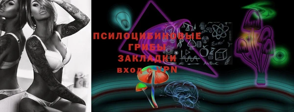 амф Бугульма