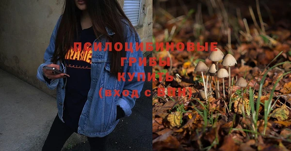 соль ск Бородино