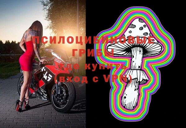 прущие крисы Бронницы