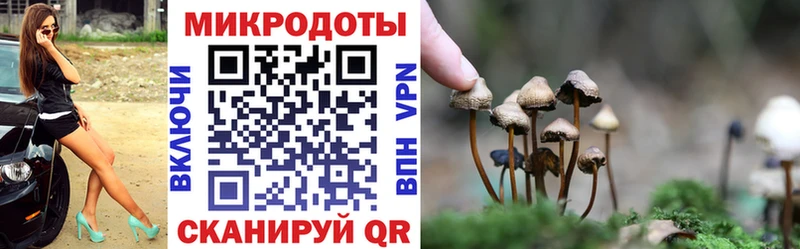 Псилоцибиновые грибы мицелий  где купить наркоту  omg как войти  Горячий Ключ 